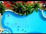 Flamingo by the beach Penang